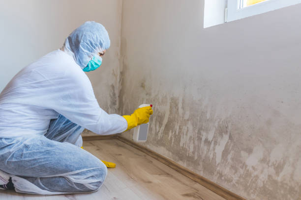 Licensed Crawl Space Mold Removal service in Gainesville, GA - WQB Mold Removal