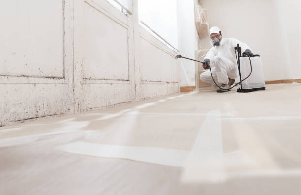 24/7 Emergency Crawl Space Mold Removal experts in Gainesville, GA
