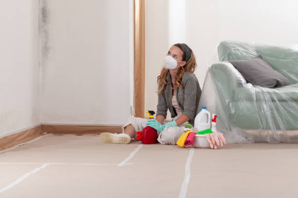Reliable Crawl Space Mold Removal contractor in Gainesville, GA by WQB Mold Removal